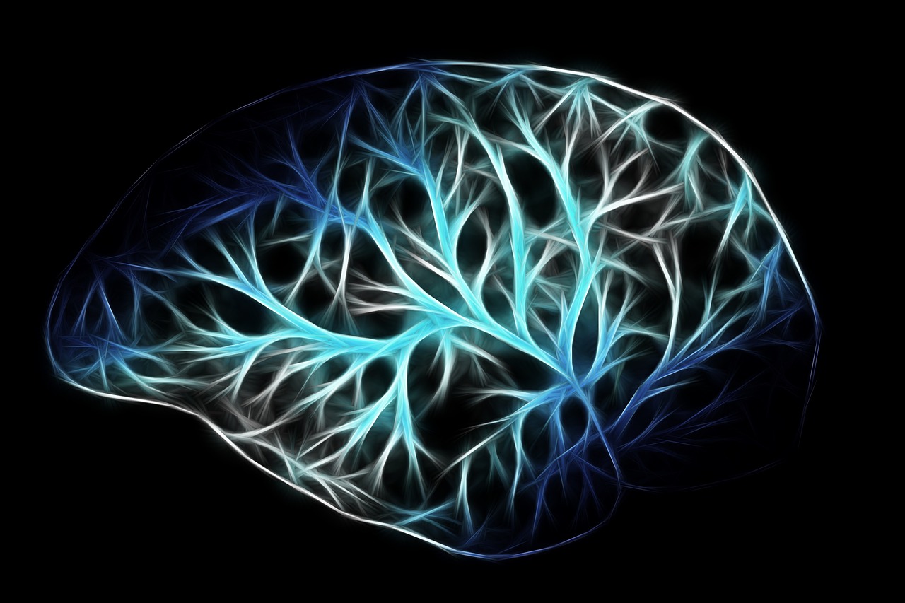 Neural Network Background