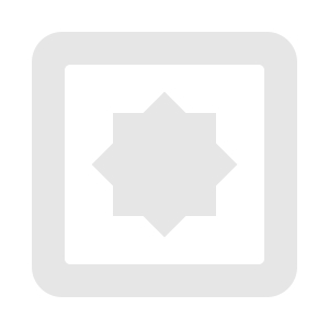APAL GAON Logo
